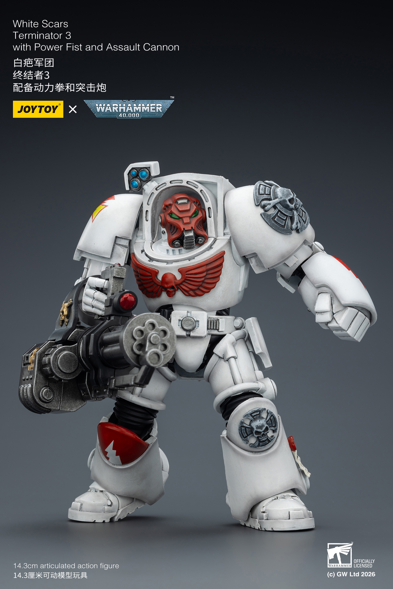 JoyToy WH40K White Scars Terminator Squad