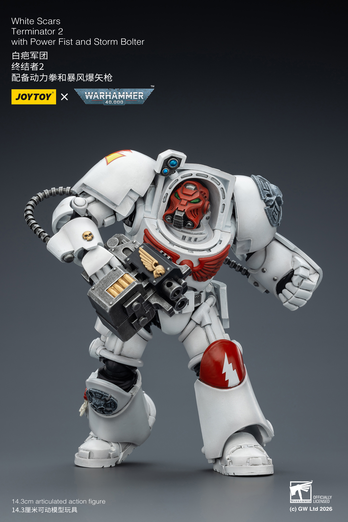JoyToy WH40K White Scars Terminator Squad