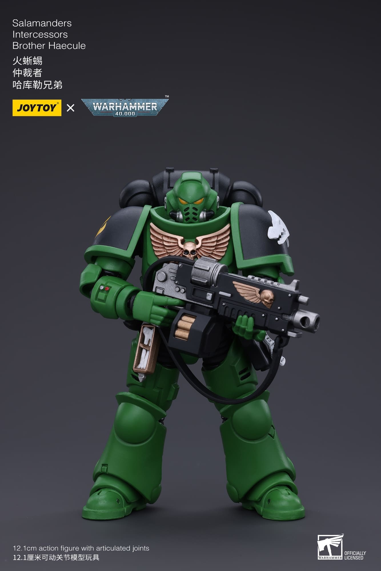 JoyToy WH40K Salamanders Intercessors Brother Haecule