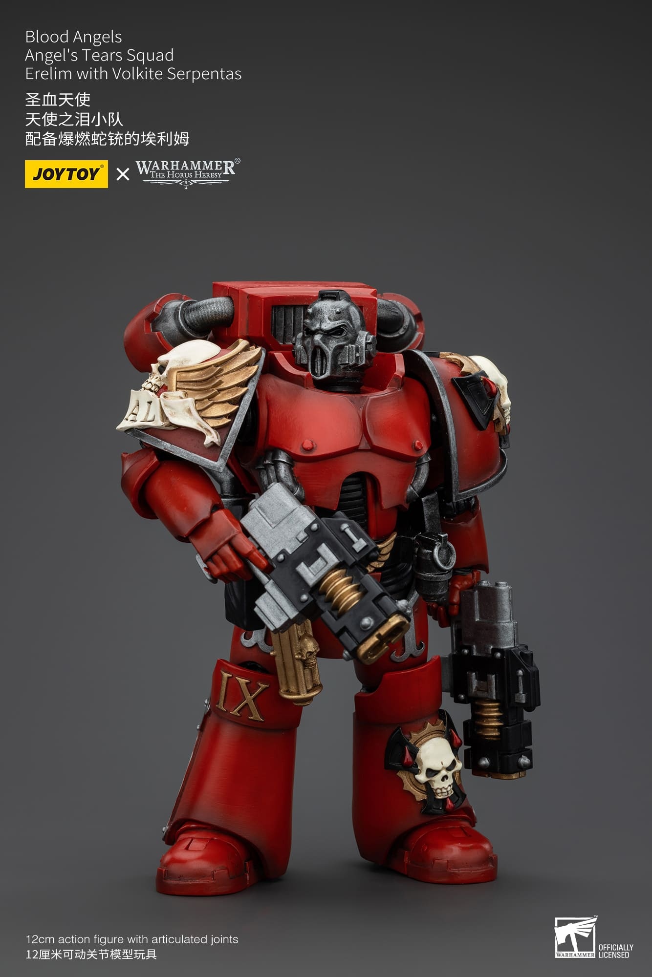 JoyToy WH40K Blood Angels Angel's Tears Squad