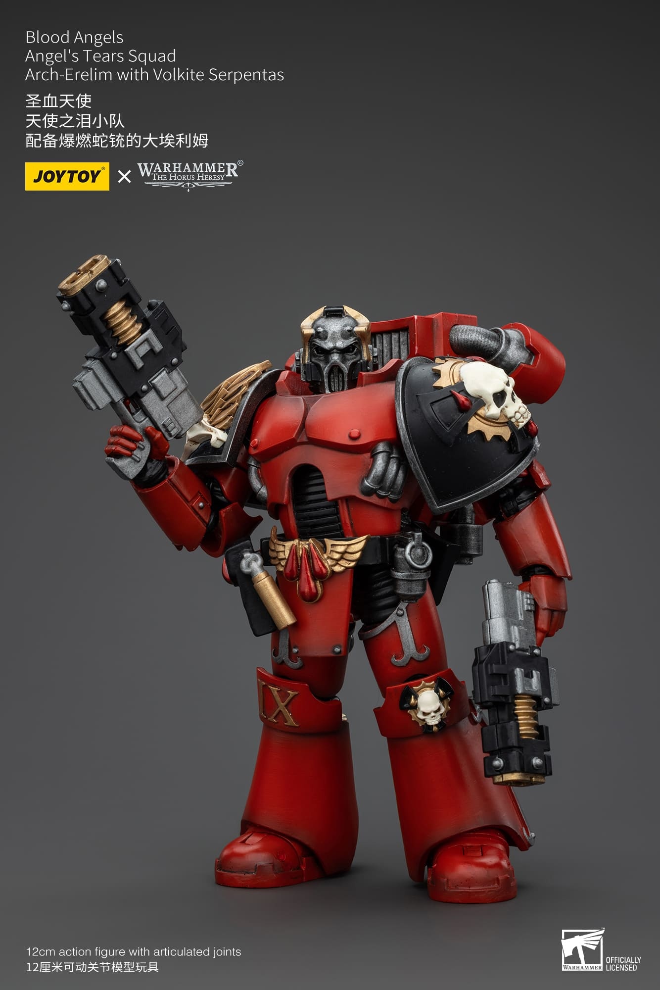 JoyToy WH40K Blood Angels Angel's Tears Squad