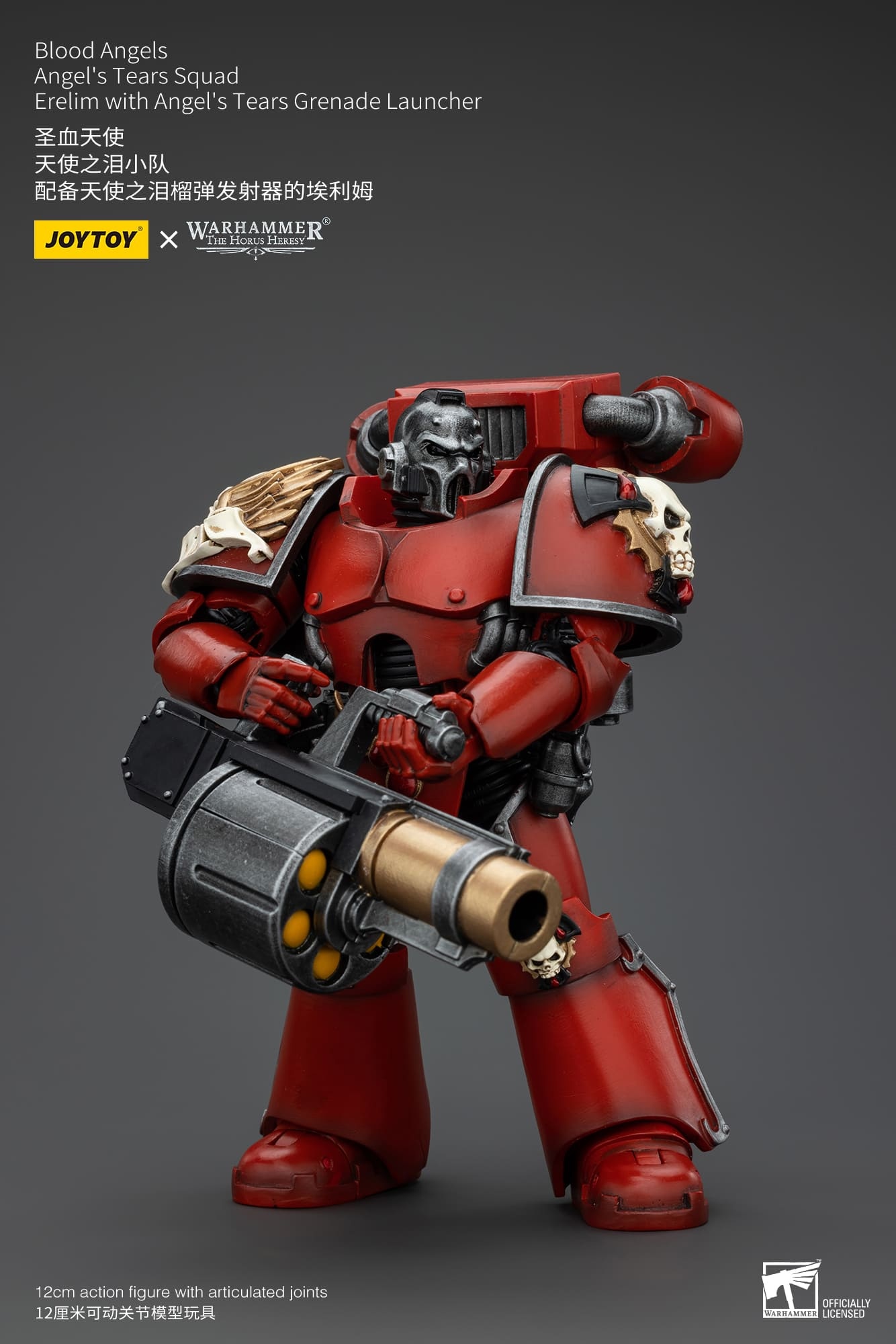 JoyToy WH40K Blood Angels Angel's Tears Squad