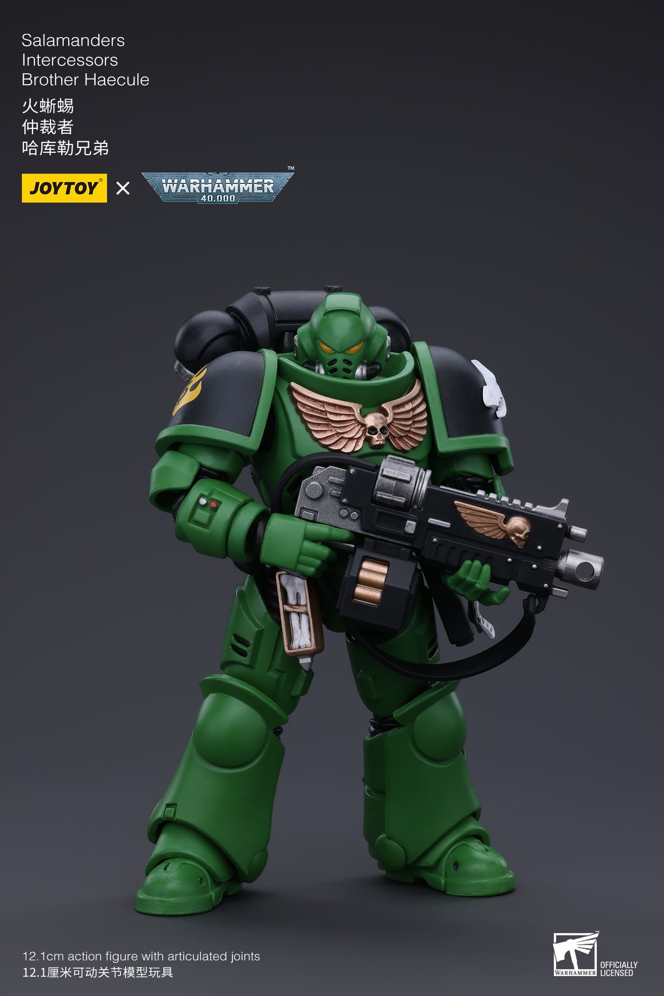 JoyToy WH40K Salamanders Intercessors Brother Haecule