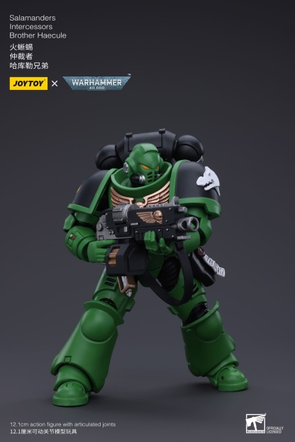 JoyToy WH40K Salamanders Intercessors Brother Haecule