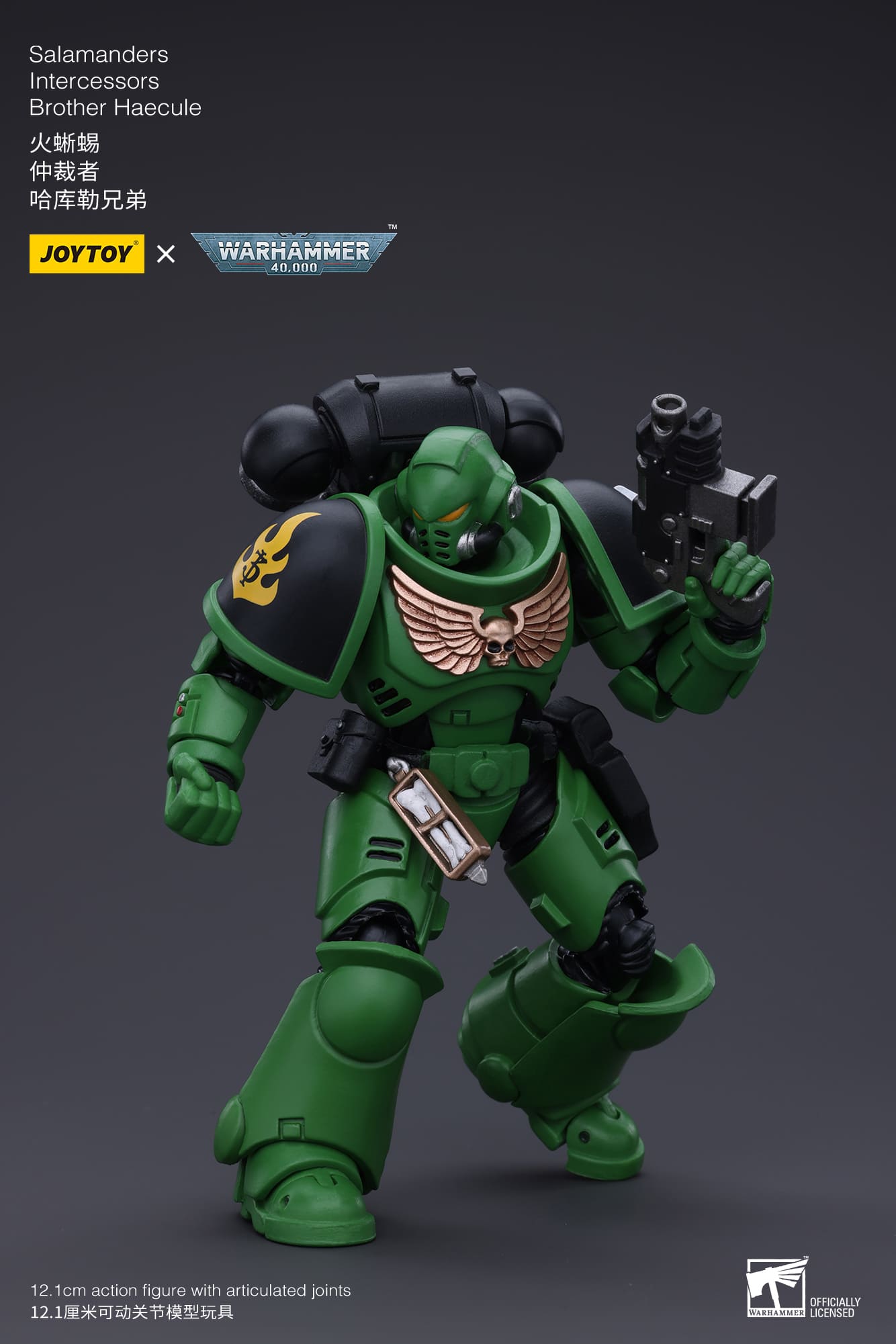 JoyToy WH40K Salamanders Intercessors Brother Haecule