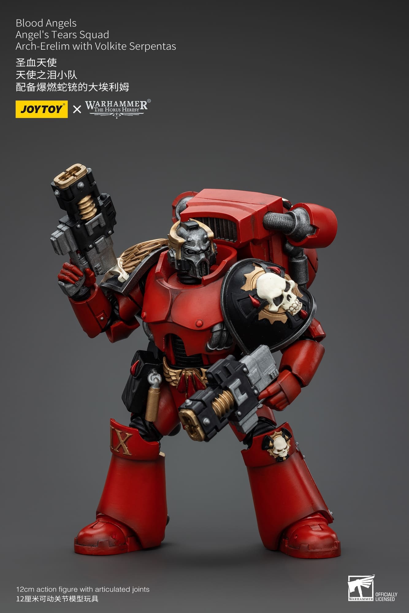 JoyToy WH40K Blood Angels Angel's Tears Squad