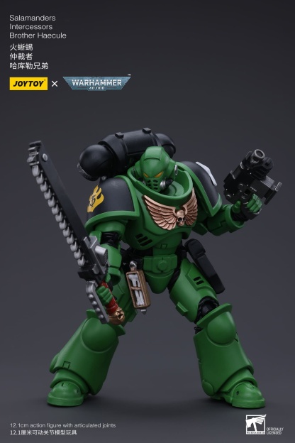 JoyToy WH40K Salamanders Intercessors Brother Haecule