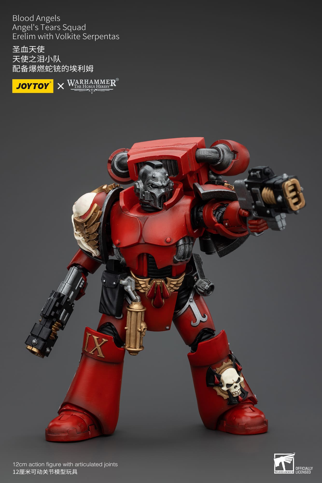 JoyToy WH40K Blood Angels Angel's Tears Squad