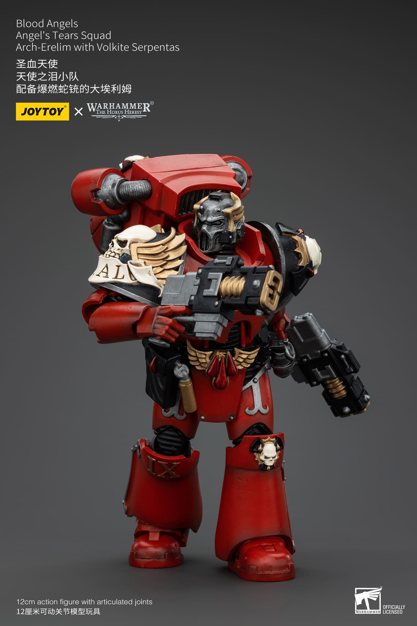 JoyToy WH40K Blood Angels Angel's Tears Squad