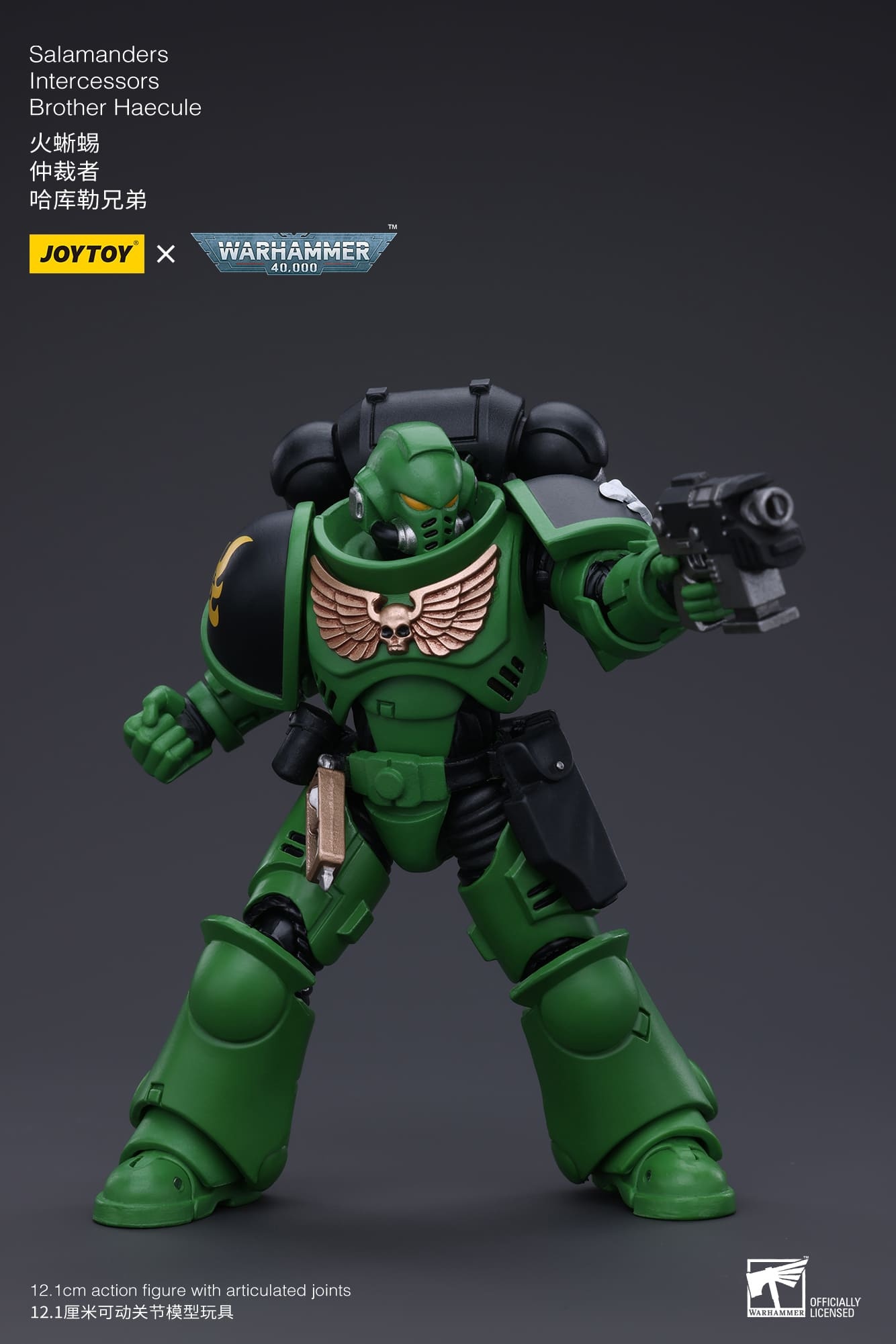JoyToy WH40K Salamanders Intercessors Brother Haecule