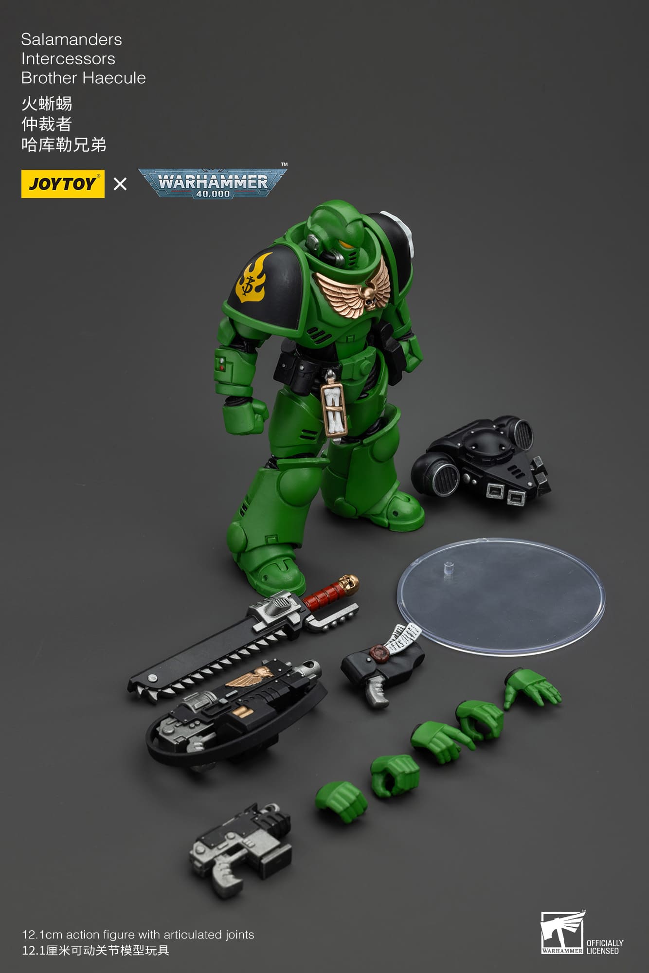 JoyToy WH40K Salamanders Intercessors Brother Haecule – Joytoy