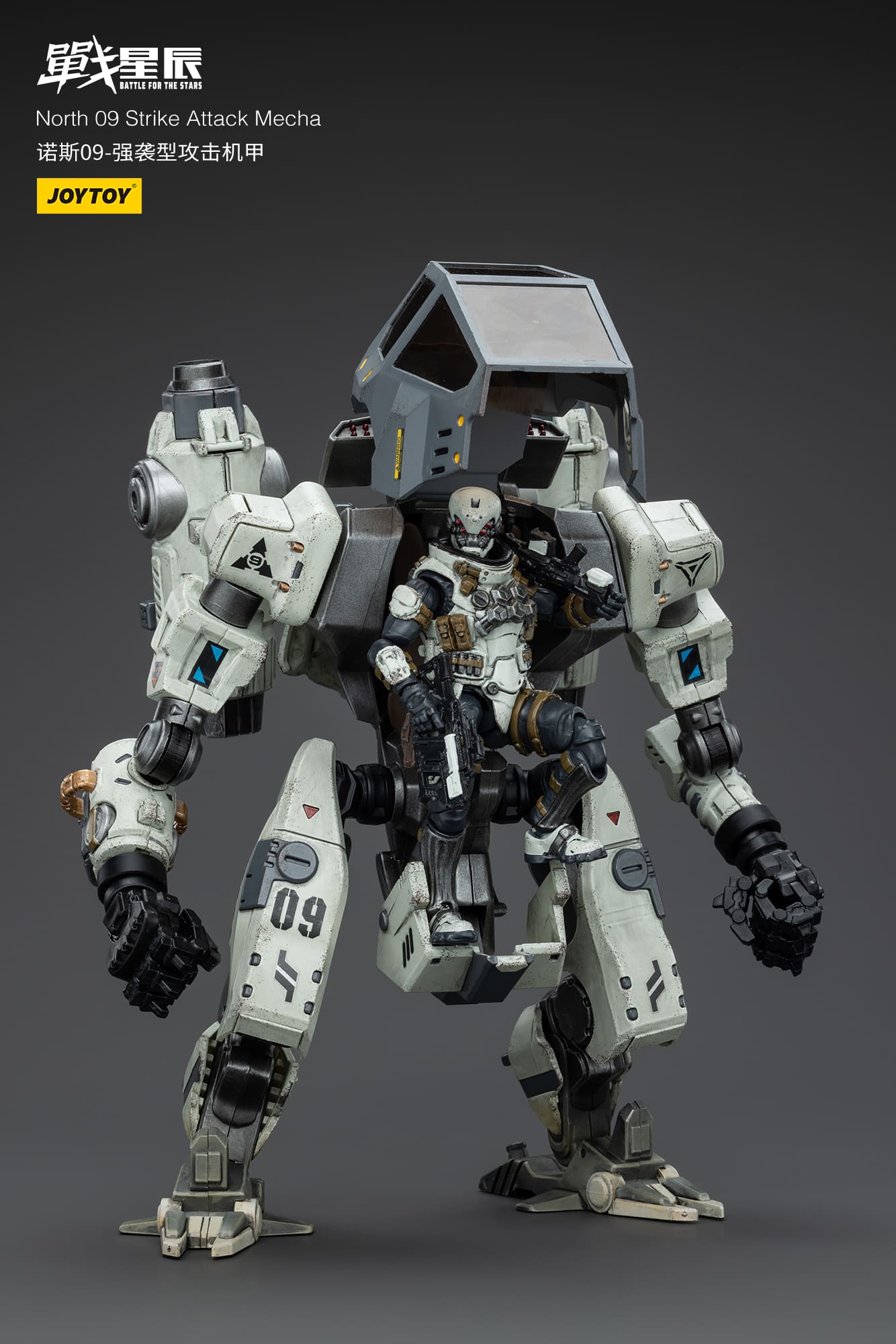 JoyToy-North-09-Strike-Attack-