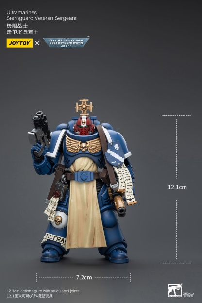 JoyToy WH40K Ultramarines Sternguard Veteran
