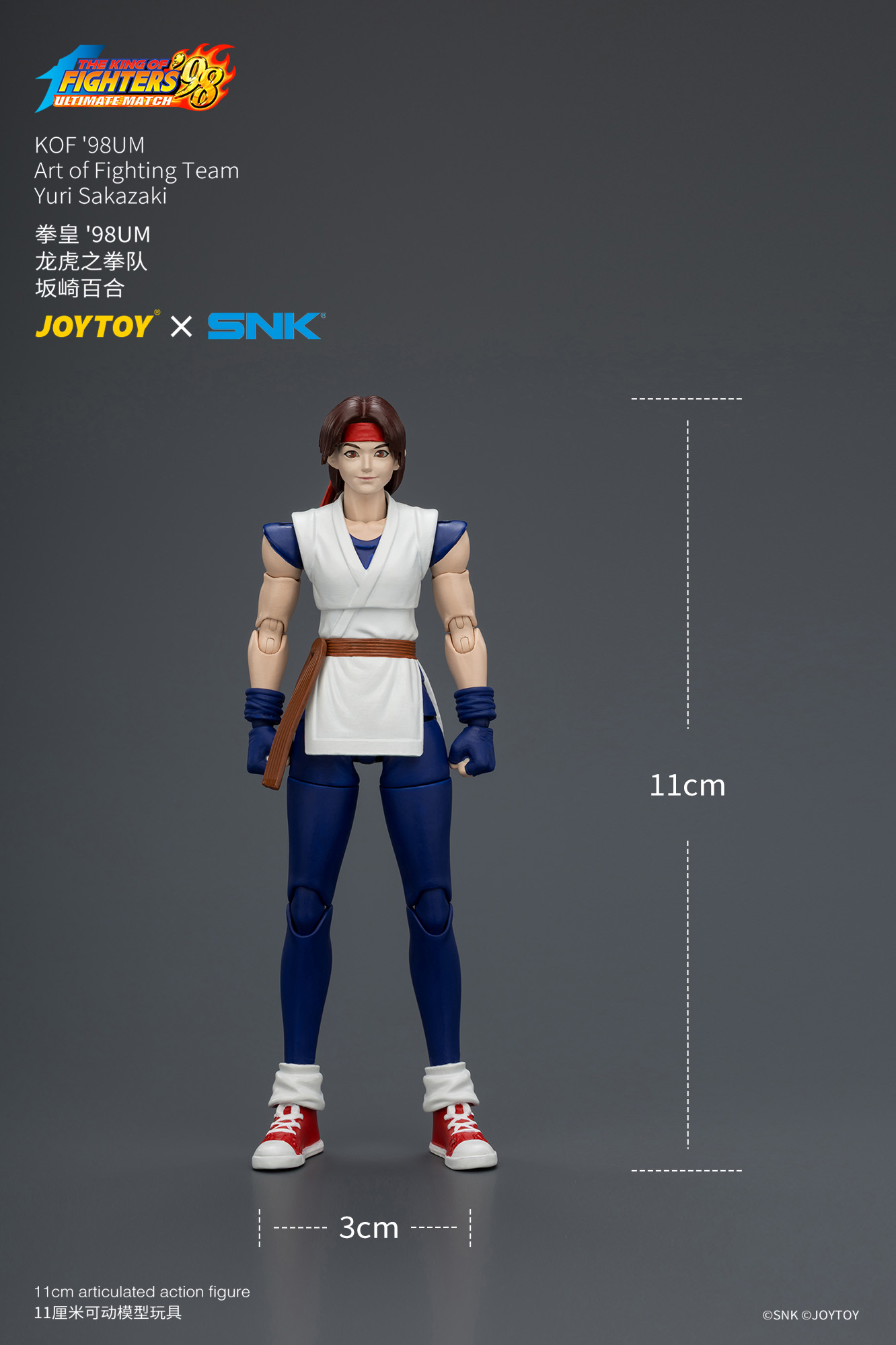 THE KING OF FIGHTERS キャンバスアート F3サイズ　マルイ JoyToy King of Fighter 98UM Art of Fighting Team – Joytoy Figure