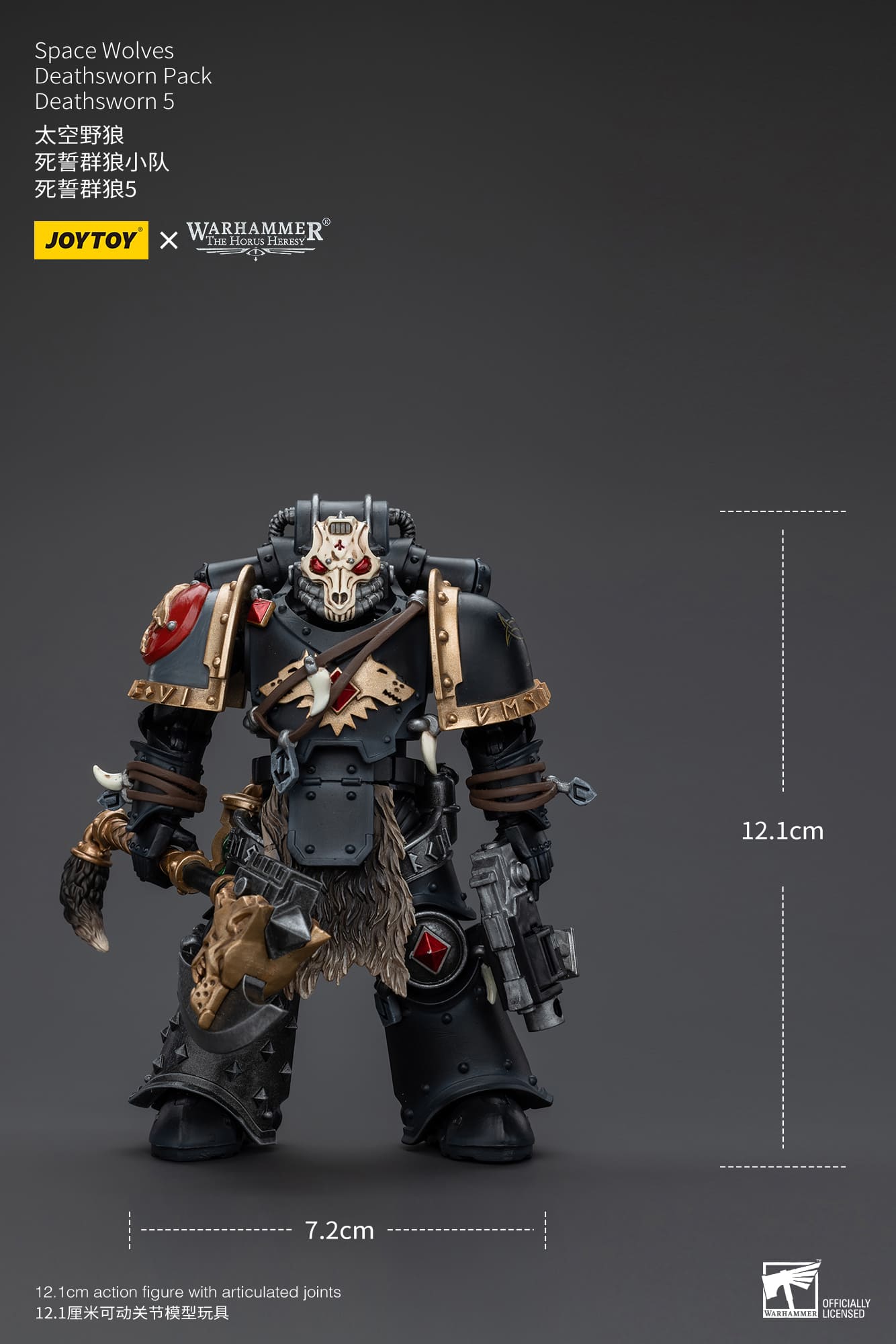 JoyToy WH40K Space Wolves Deathsworn Pack Deathsworn 5