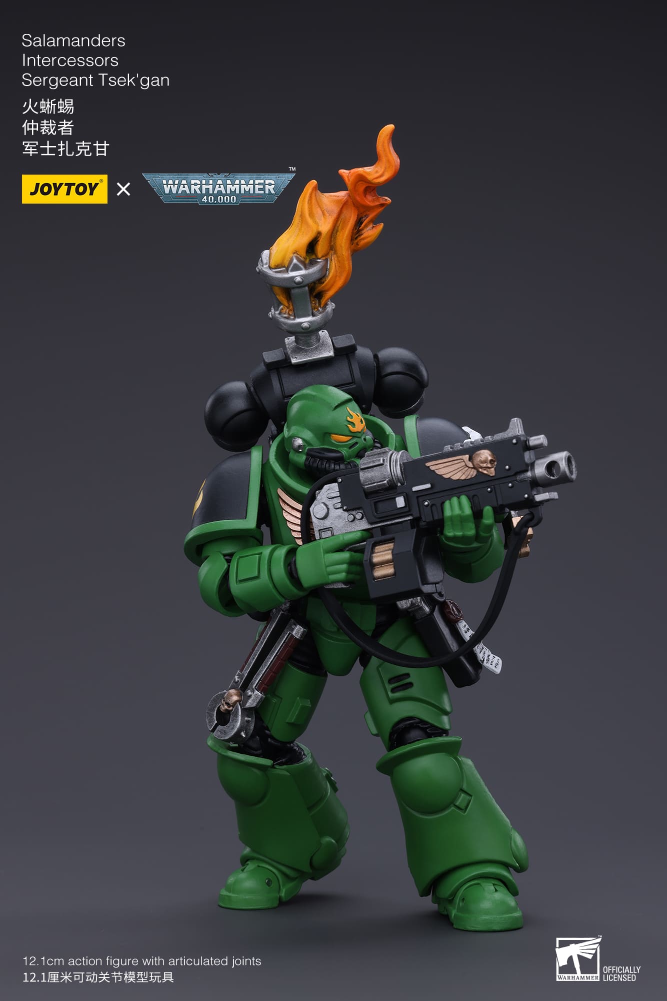JoyToy WH40K Salamanders Intercessors Sergeant Tsek'gan