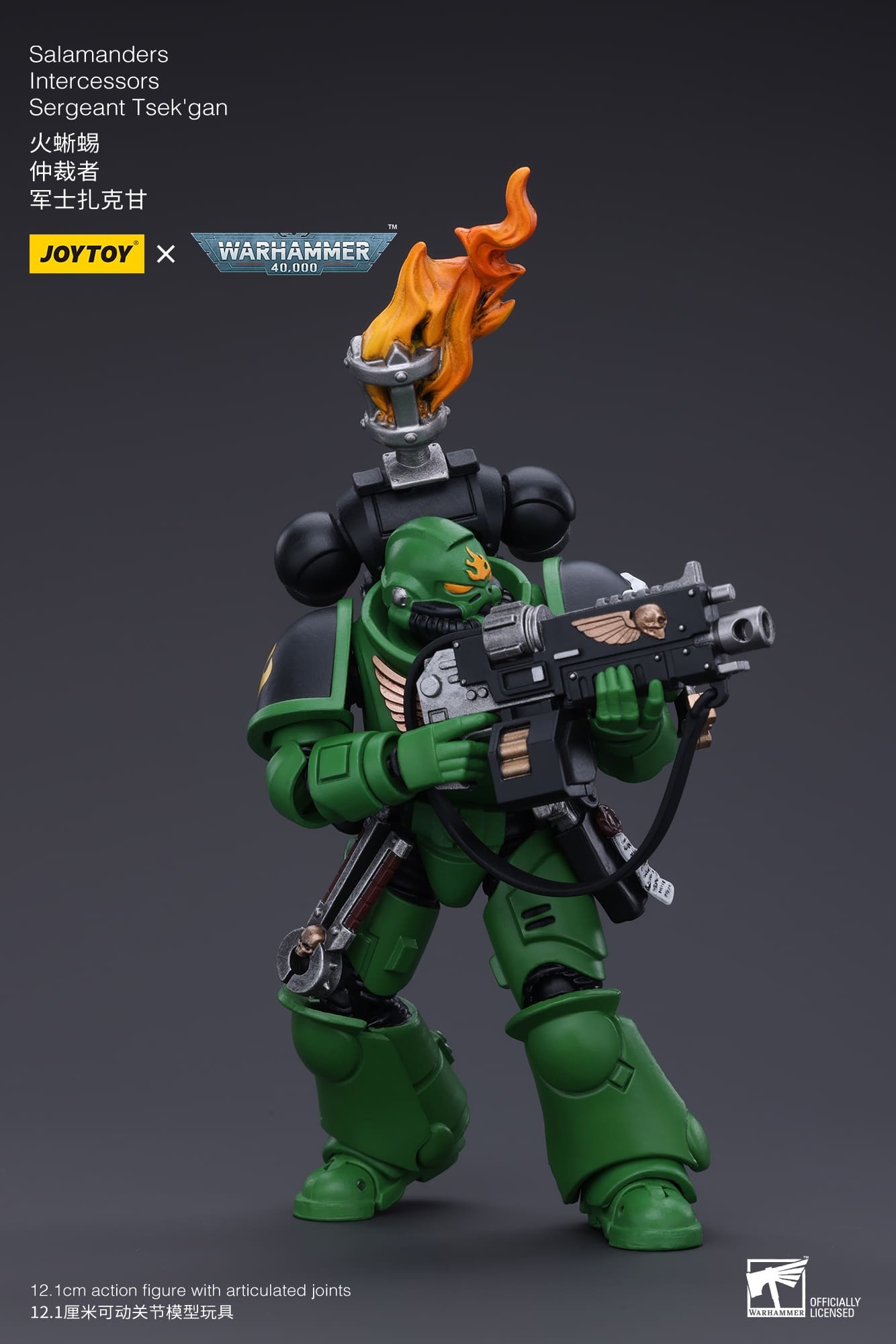 JoyToy WH40K Salamanders Intercessors Sergeant Tsek'gan