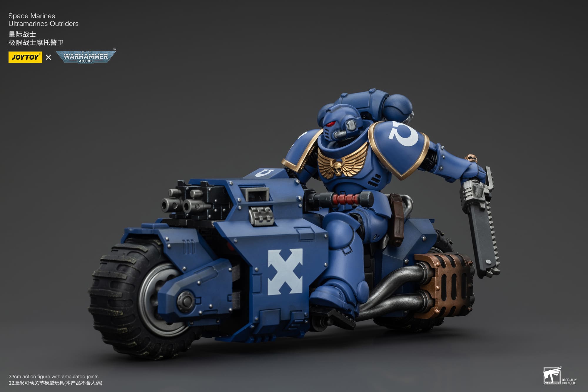 JoyToy WH40K Space Marines Outriders Brother Catonus