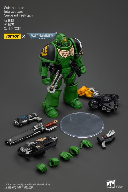 JoyToy WH40K Salamanders Intercessors Sergeant Tsek'gan