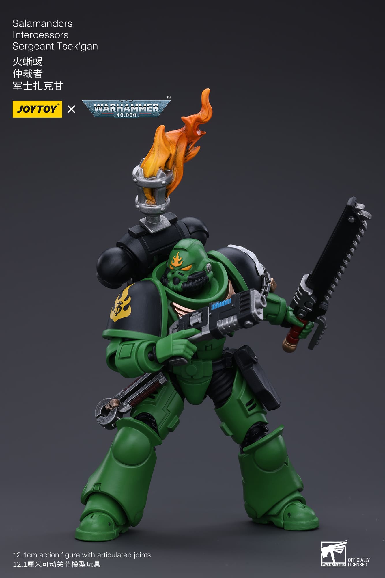 JoyToy WH40K Salamanders Intercessors Sergeant Tsek'gan
