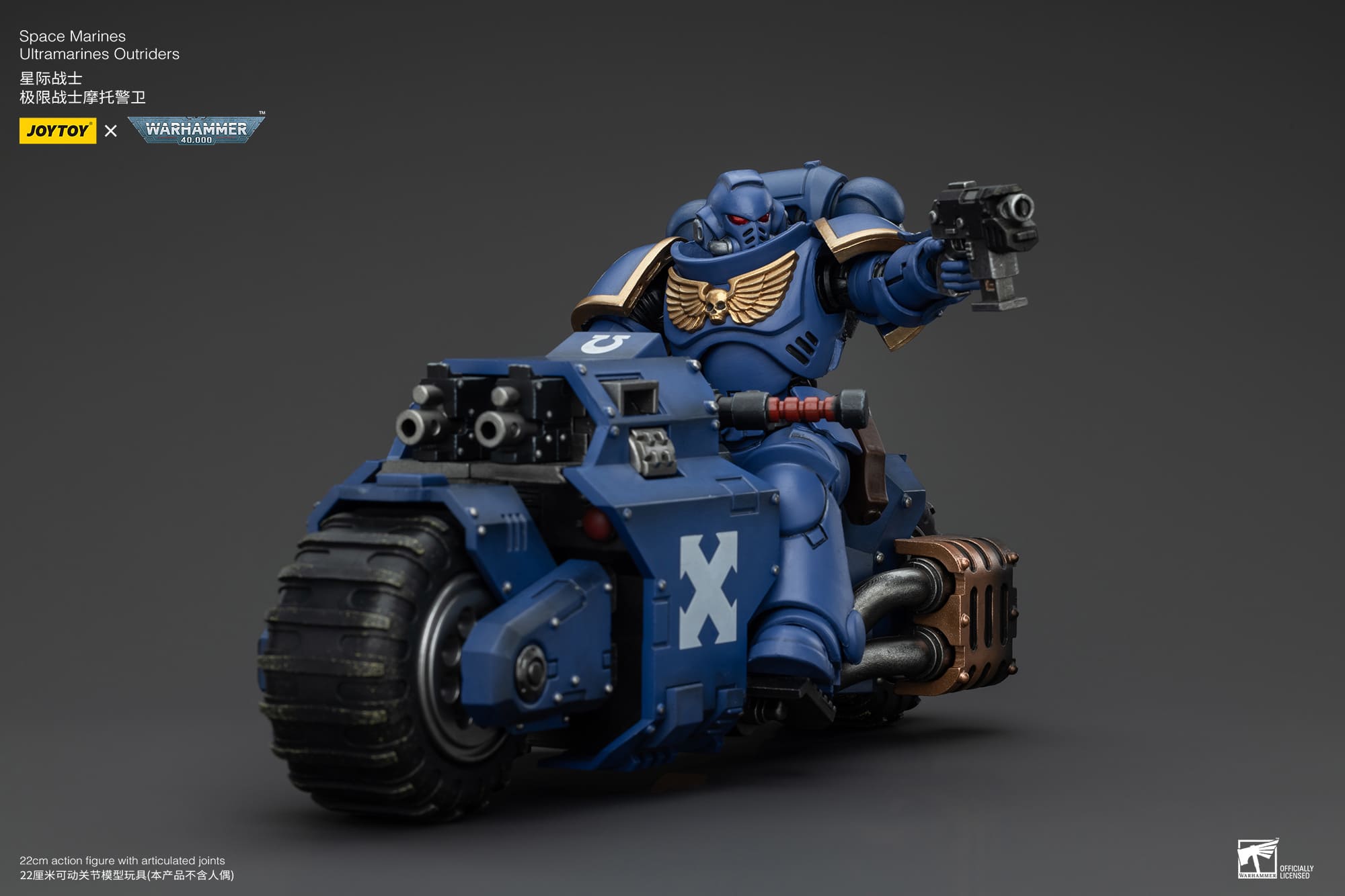 JoyToy WH40K Space Marines Outriders Brother Catonus