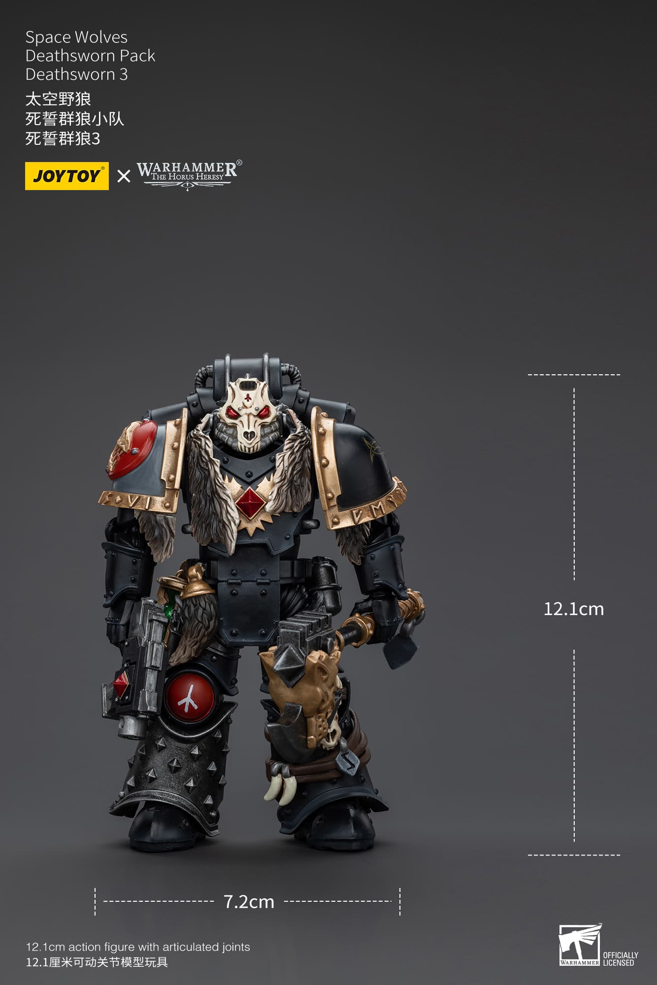 JoyToy WH40K Space Wolves Deathsworn Pack Deathsworn 3