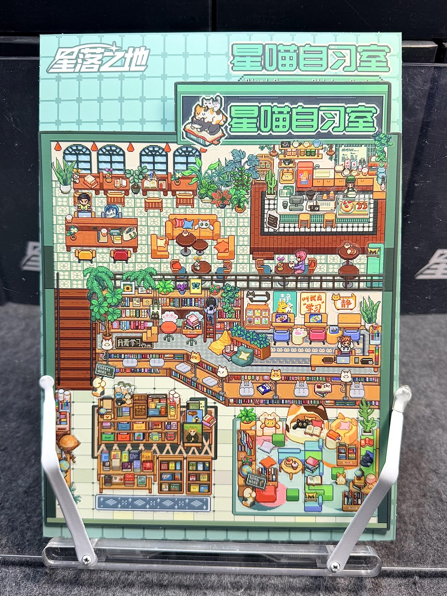 #010 Pixel 11.0(Size:XL)