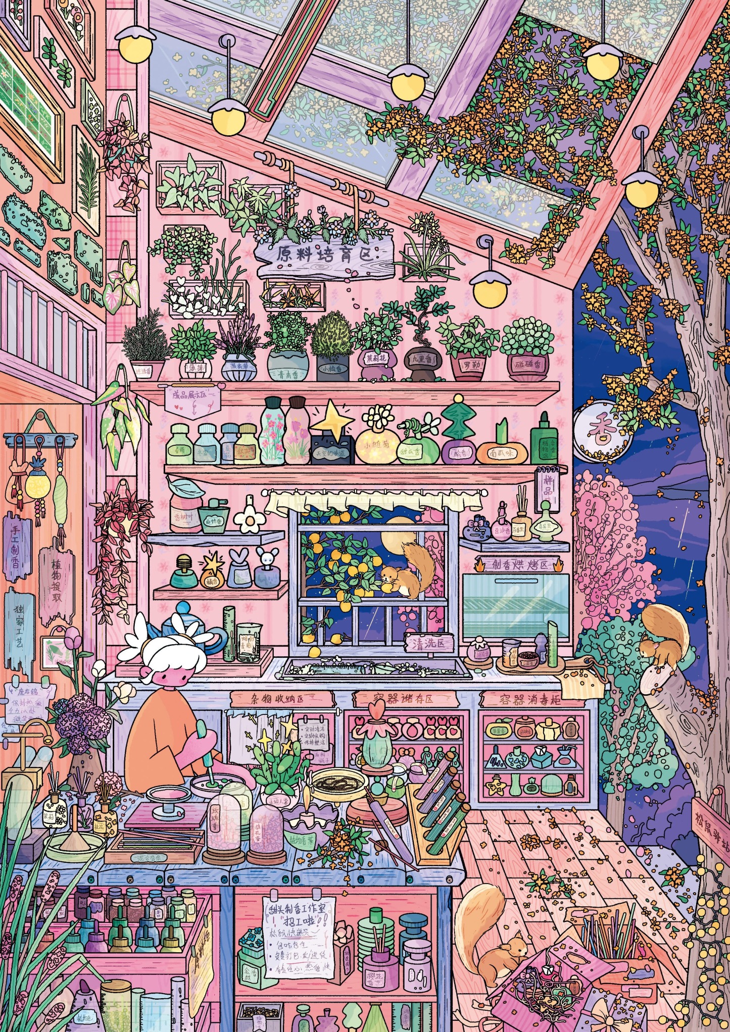 #055 Funfull 5.0(Size:XL)