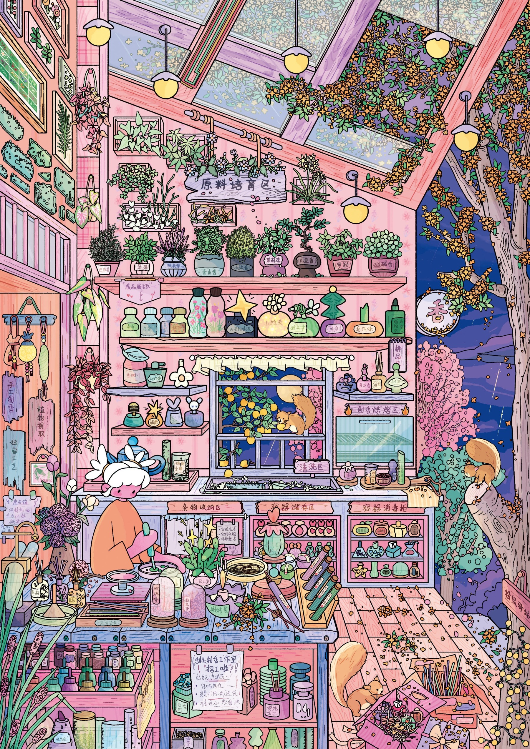 #055 Funfull 5.0(Size:XL)