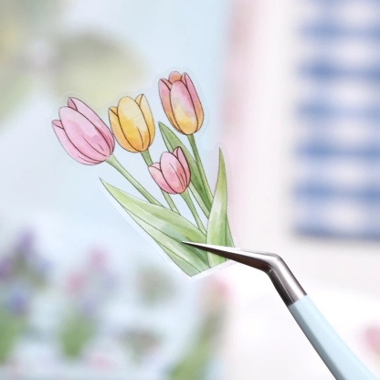 #Chaoyou little bird exquisite tweezer