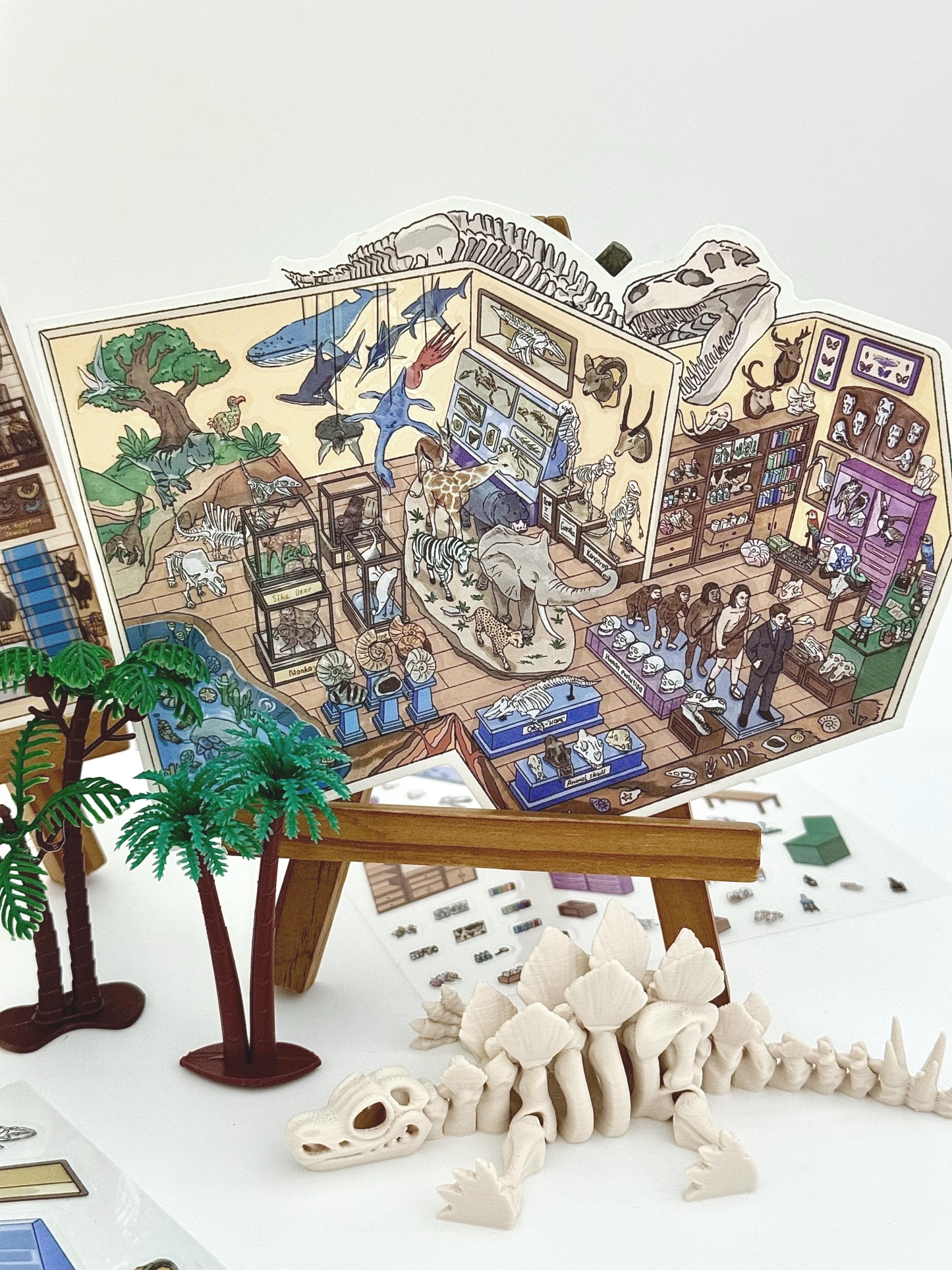 #242 Little Corner Series 5.0 (Size:M)