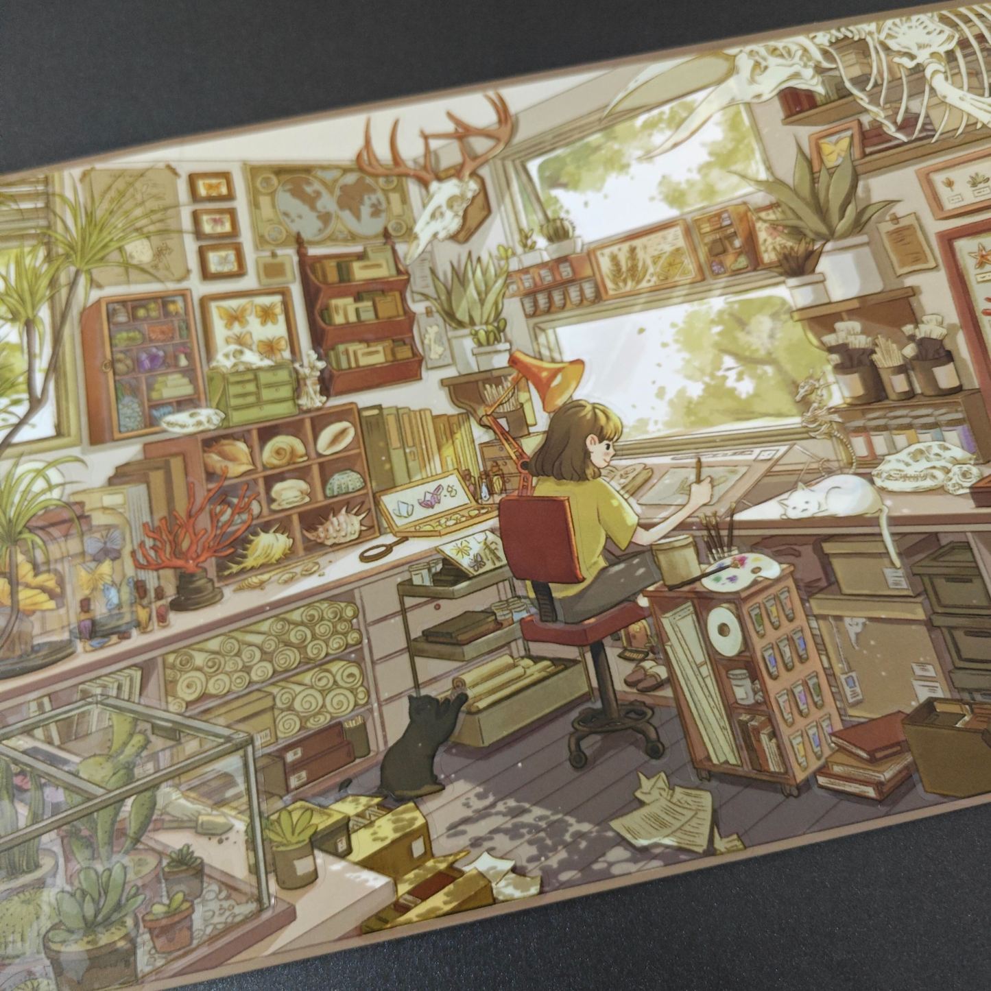 #158 Specimen laboratory（Size：L）