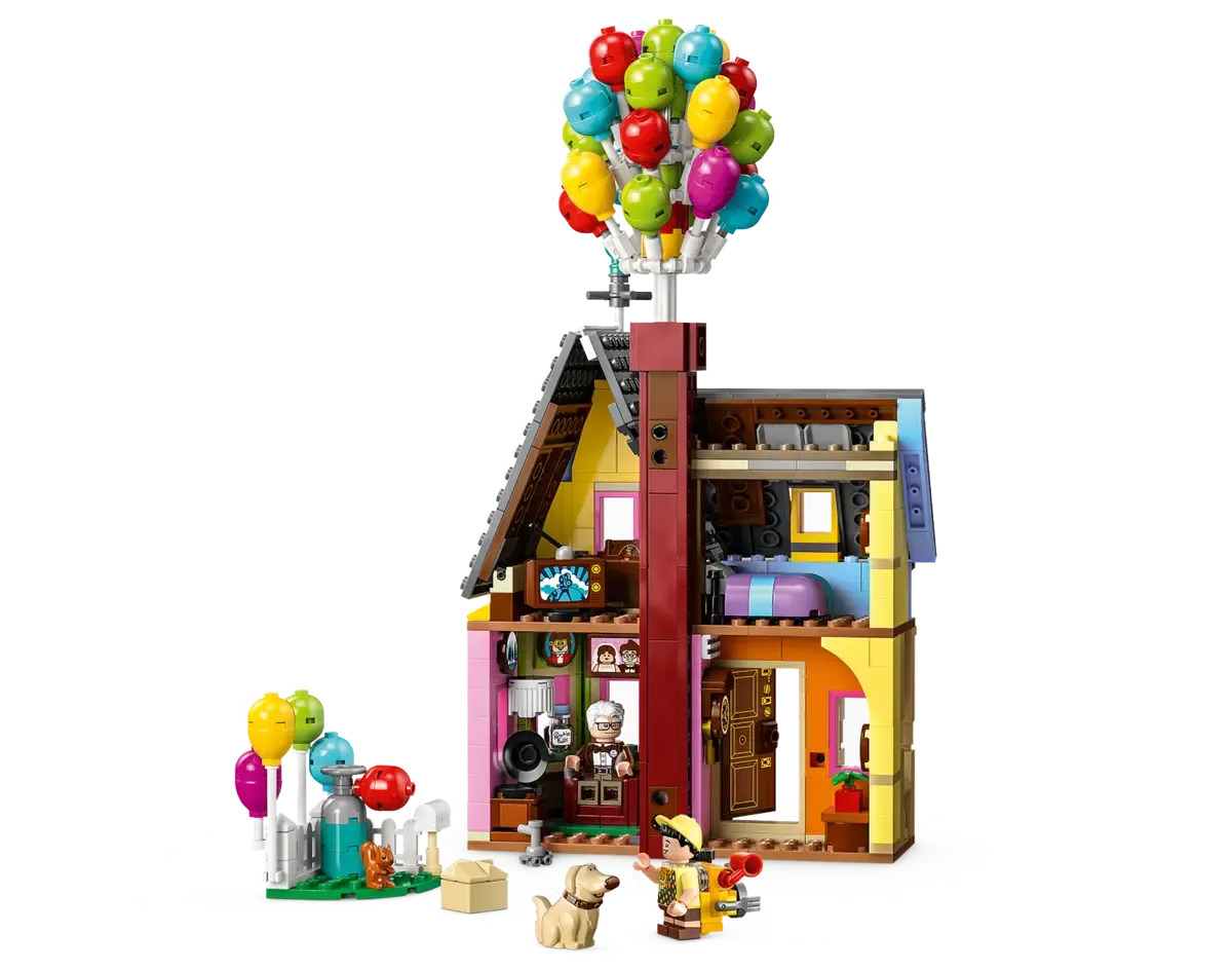 ‘Up’ House​