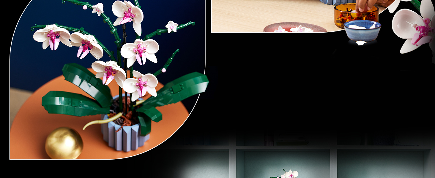 Il testo dice «Immagine 5