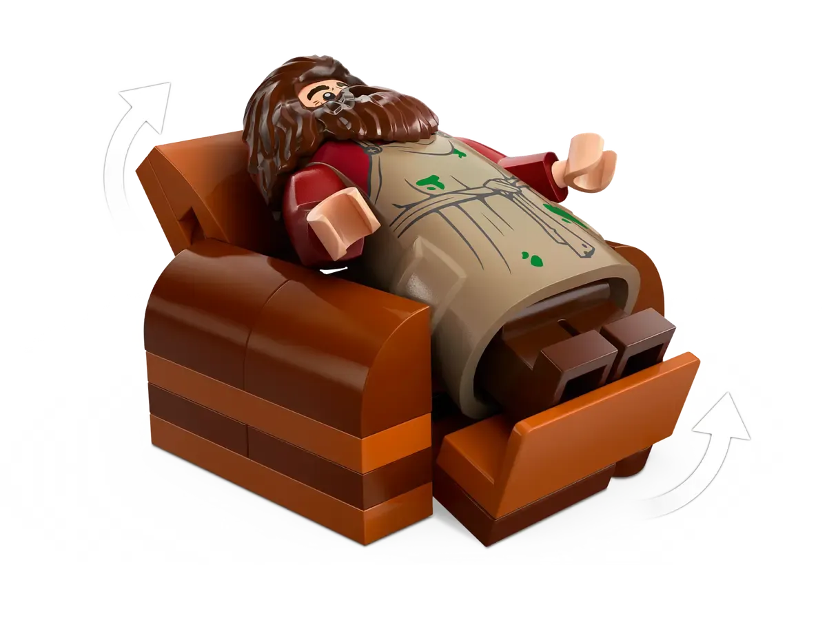 Hagrid's Hut: An Unexpected Visit