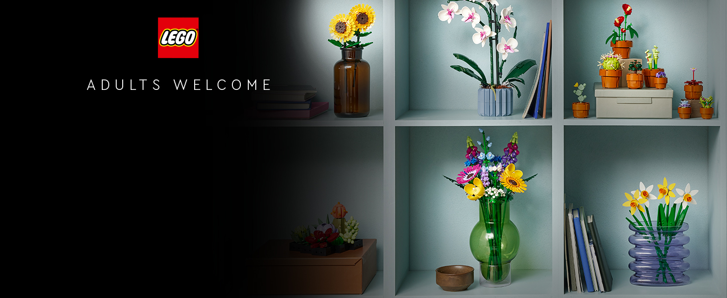 Il testo dice «Spirit Welcome». Collezione di sei vasi decorativi con fiori disposti su mensole a parete sullo sfondo grigio della parete.