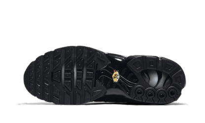 nithtke Air Max Plus Triple Black