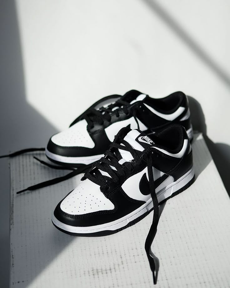 nithtke Dunk Low Retro White Black