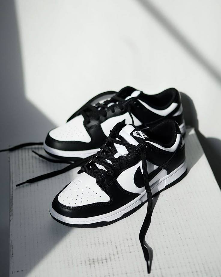 nithtke Dunk Low Retro White Black