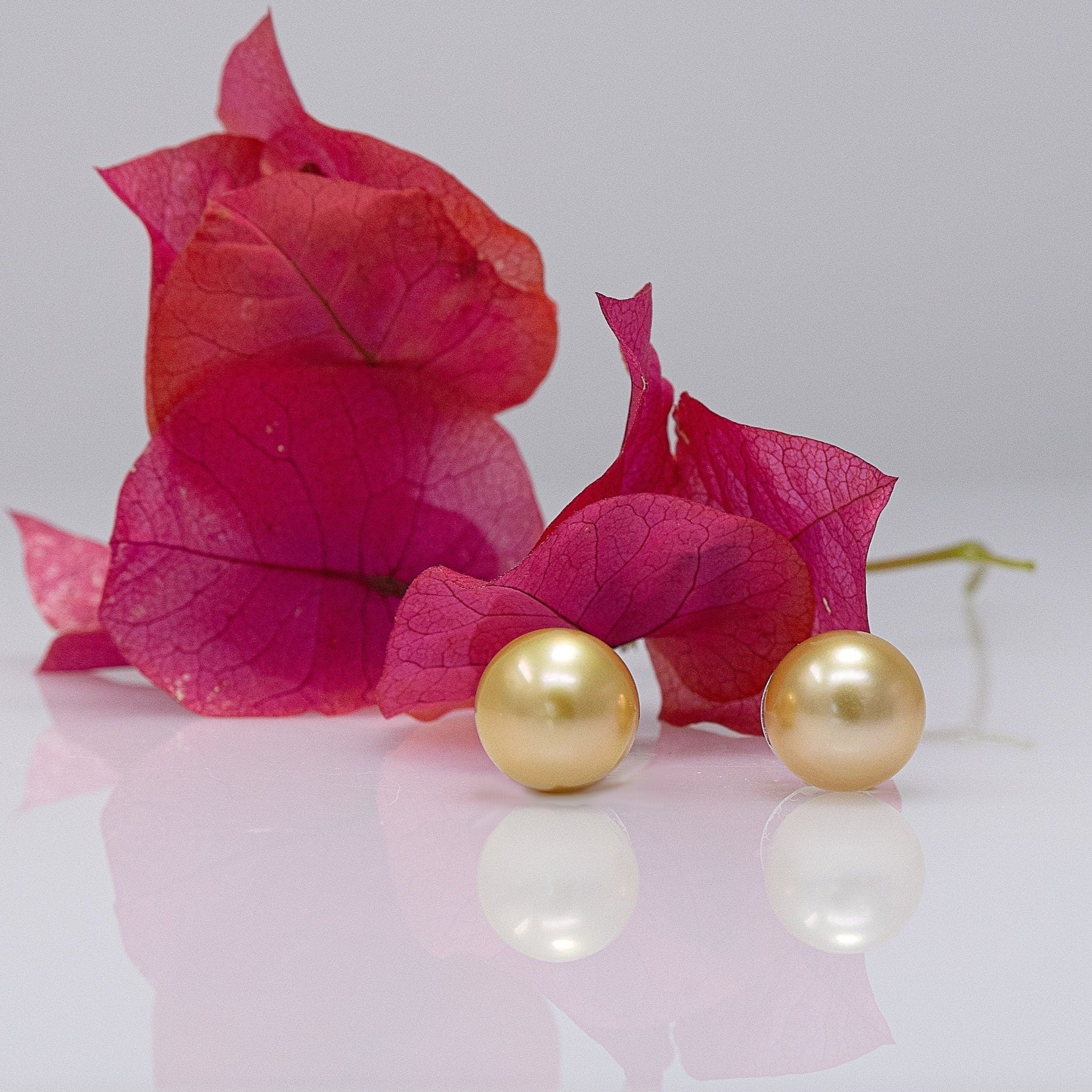 11-12mm Golden South Sea Pearl Stud Earrings
