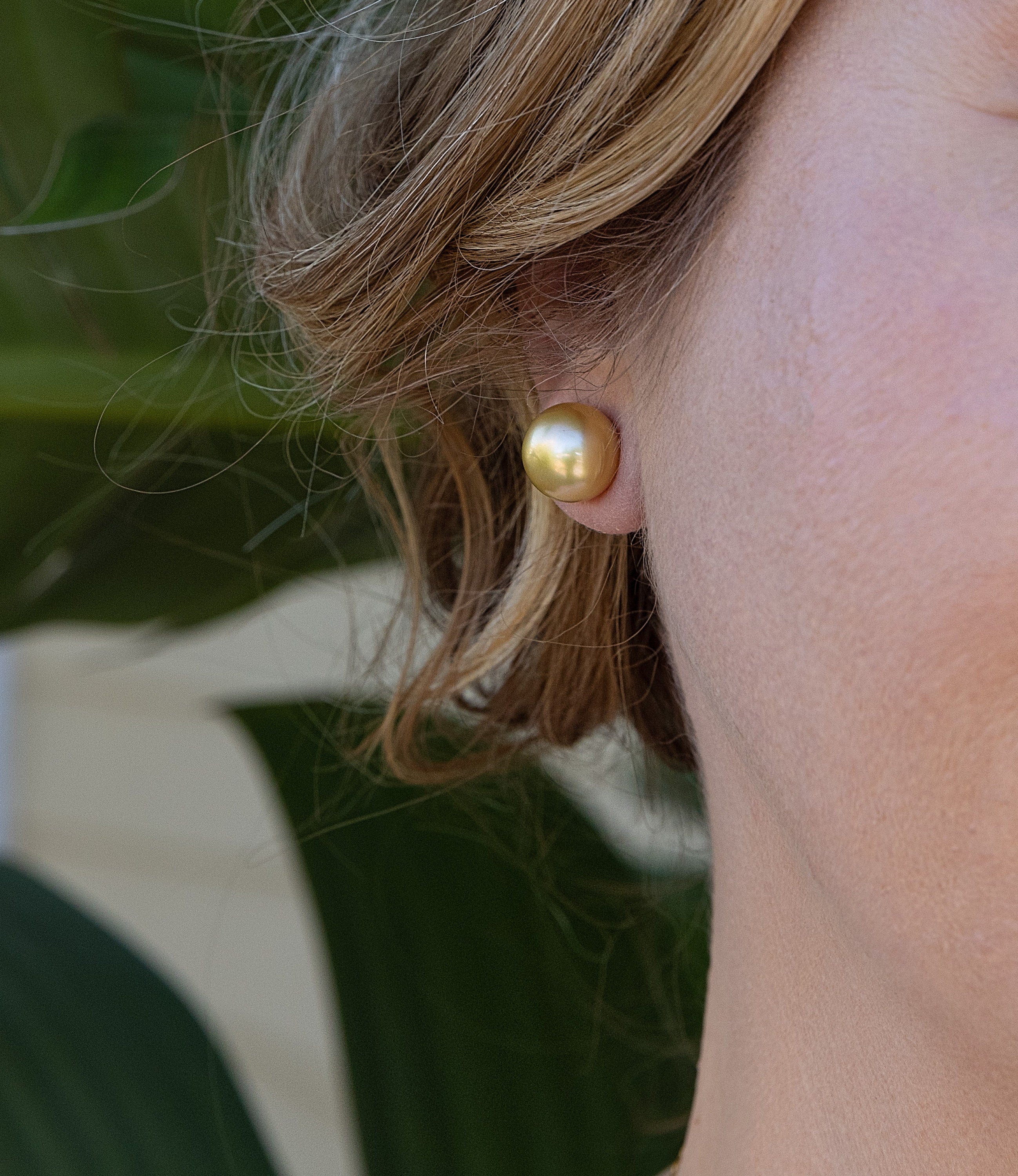 11-12mm Golden South Sea Pearl Stud Earrings