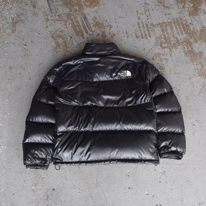 The North Face Shiny Black Puffer Jacket