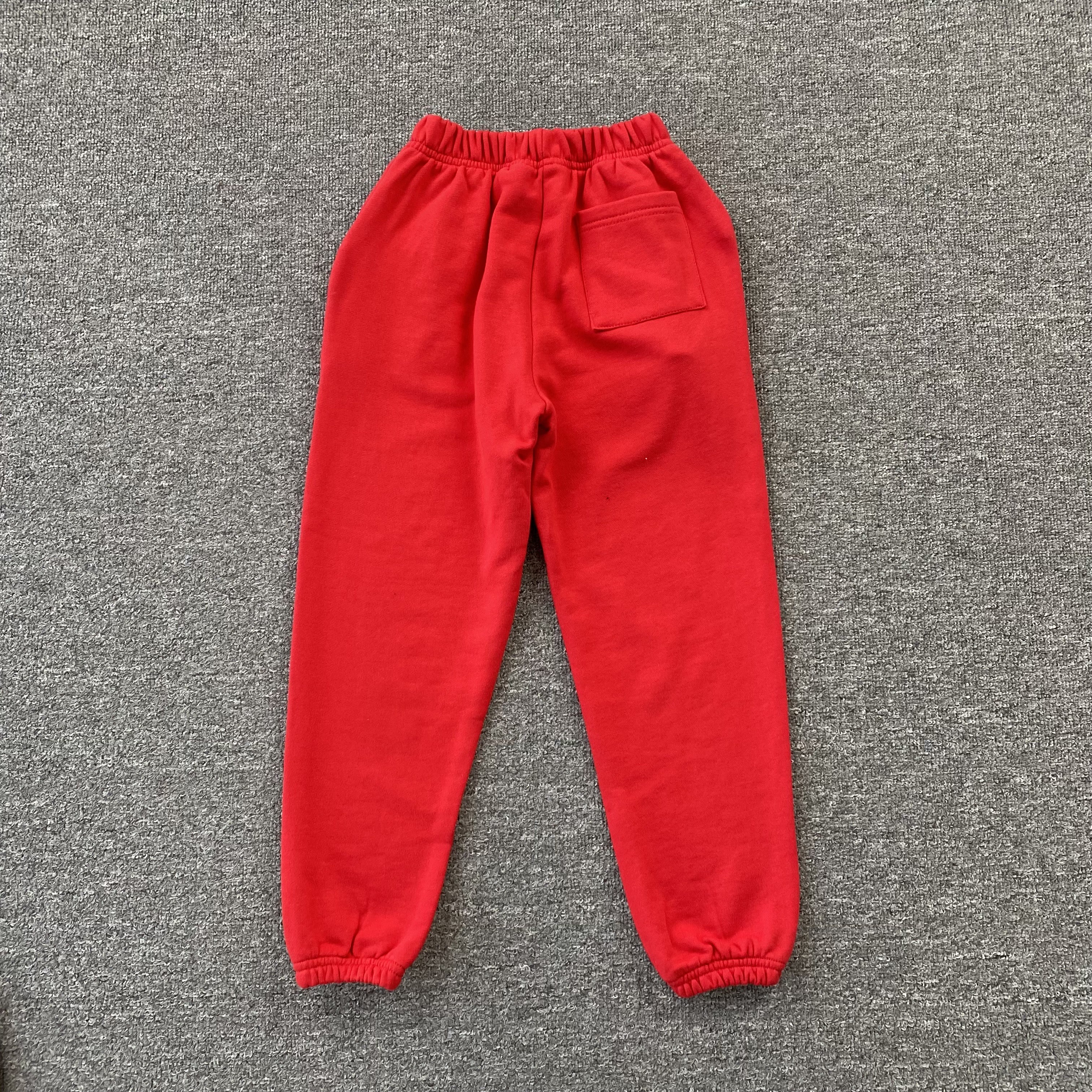 22_228 Street Style Spider Graphic  Tracksuit(Kids Clothing)