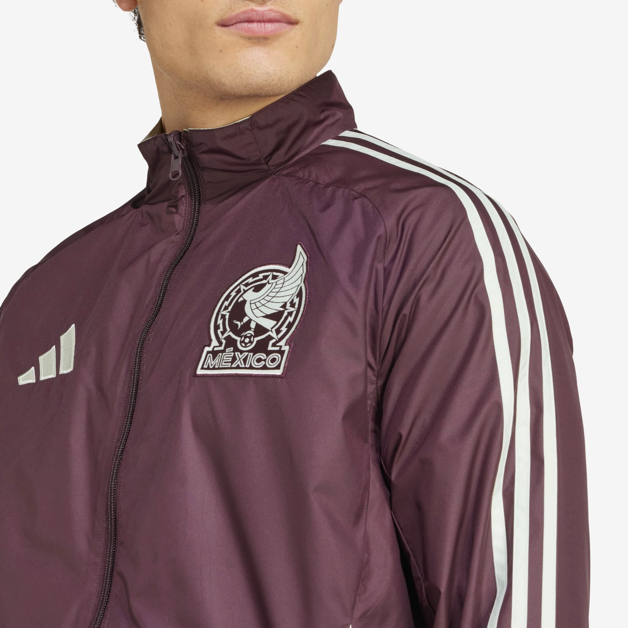 adidas Mexico Anthem