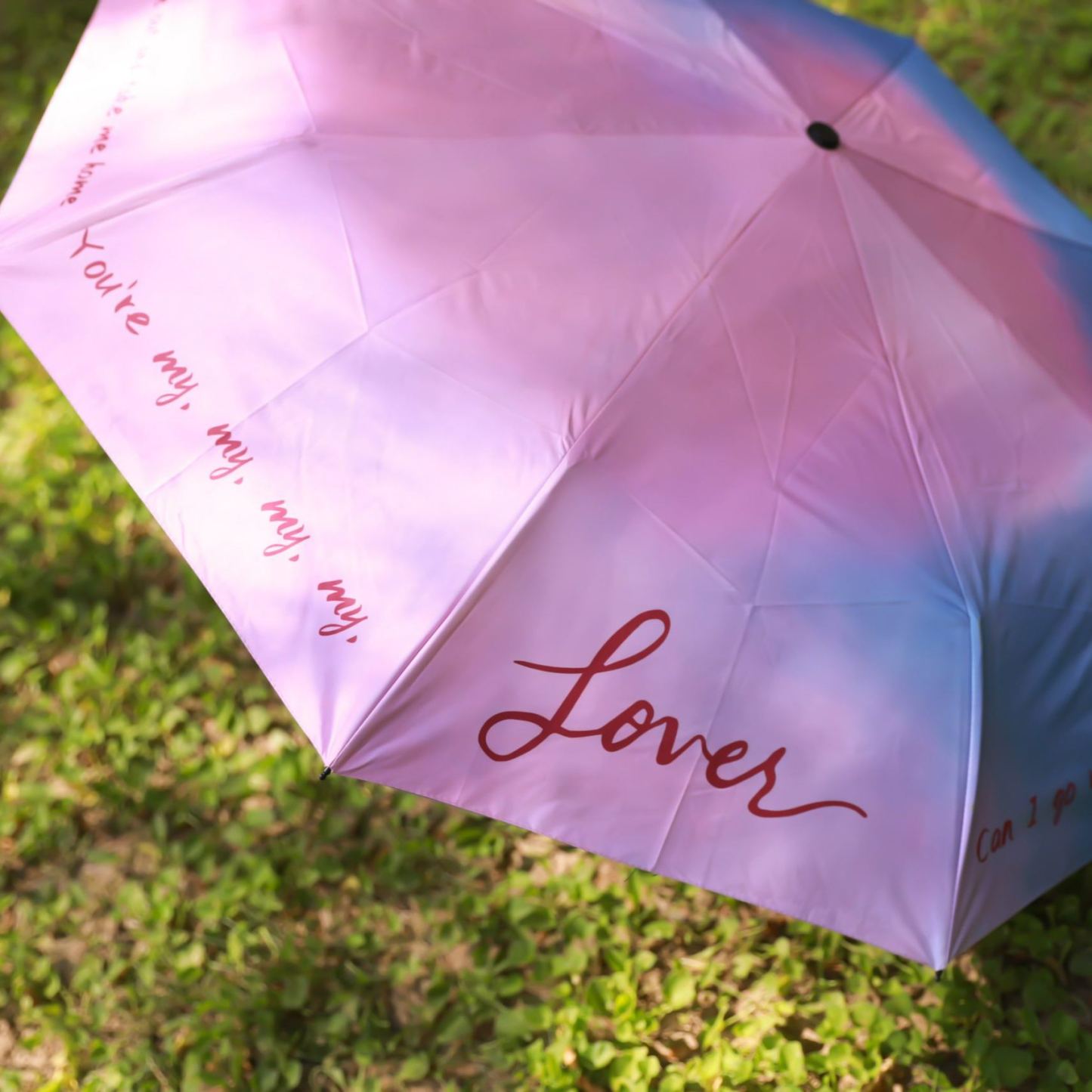 Lover-Inspired Pink & Blue Umbrella