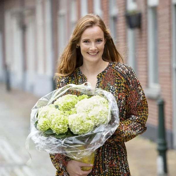 ✨Sista dagen 49% rabatt - Konstgjorda hortensiablommor för utomhusbruk💐