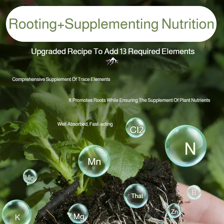 improve the soil anti-caking rooting green plants vegetables universal soil activator rootingpowder