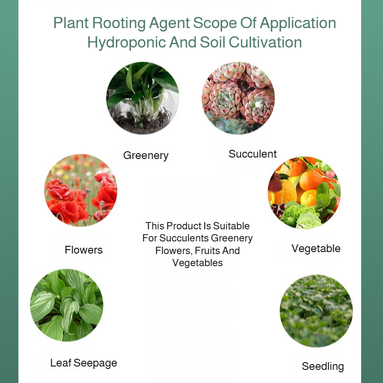 improve the soil anti-caking rooting green plants vegetables universal soil activator rootingpowder