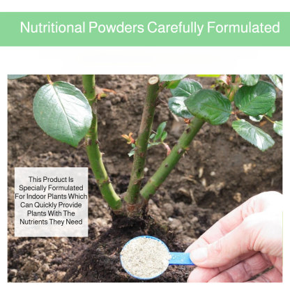 Nutrient Powder Plant Potting Growing Flowers Rooting Transplanting Cuttings