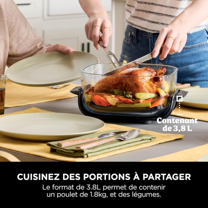 Ninja CRISPi Friteuse sans huile portable, 3,8L, 4-en-1 : Frire sans huile, Rôtir, Garder au chaud, Recroustiller, Design compact, 2 récipients avec couvercles, 1 700 W, Stone/or FN101EUSTGD